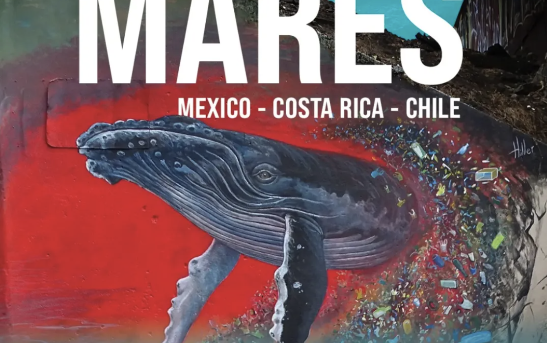 Poster with red and blue abstract background with a humpback whale breaking in the foreground, advertising the Festival Internacional de Cine